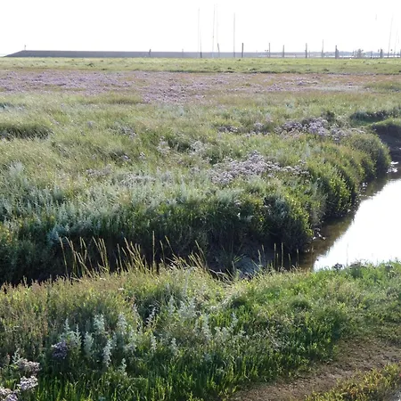 Ferienwohnung-flut-gemuetlicher-rueckzugsort-in-ruhiger-seidlungslage Neuharlingersiel
