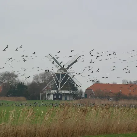 Ferienwohnung-flut-gemuetlicher-rueckzugsort-in-ruhiger-seidlungslage *